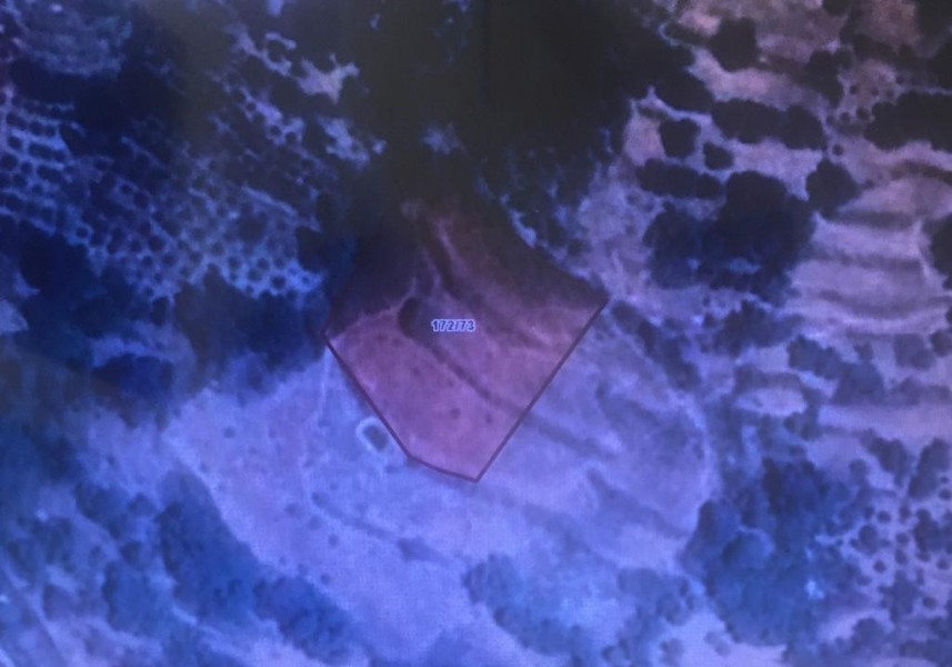 Alanya  Bademağacın'da   Satılık  Arsa